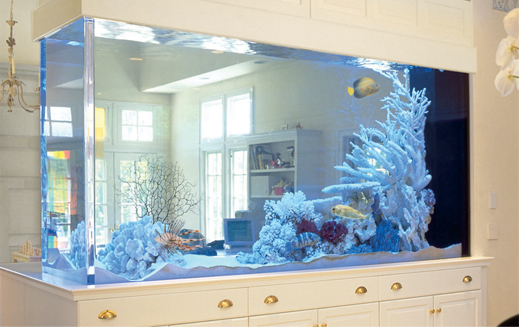 Inspirational Aquariums